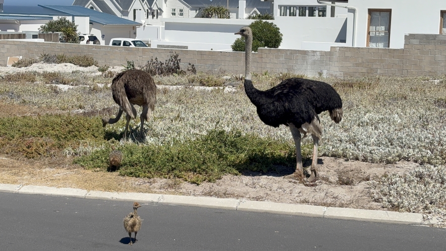 0 Bedroom Property for Sale in Pearl Bay Western Cape